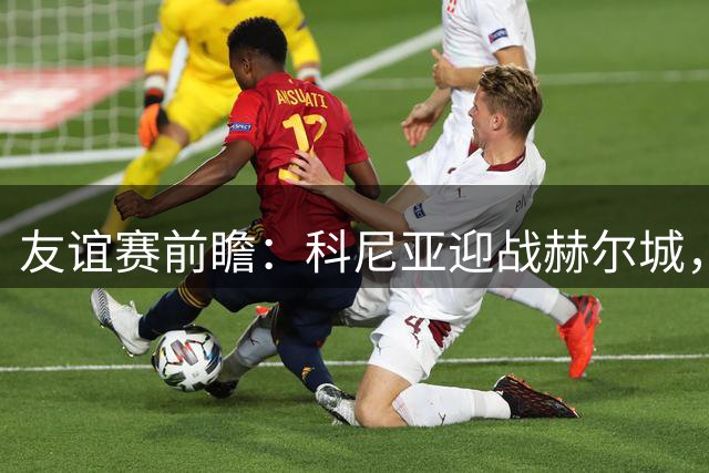 友谊赛前瞻：科尼亚迎战赫尔城，英超升班马季前首秀